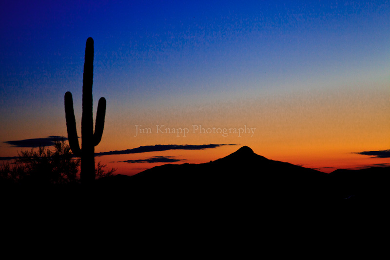 Sunrise, Sonoran Desert